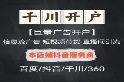 SEM代运营案例分析：精准投放策略解析